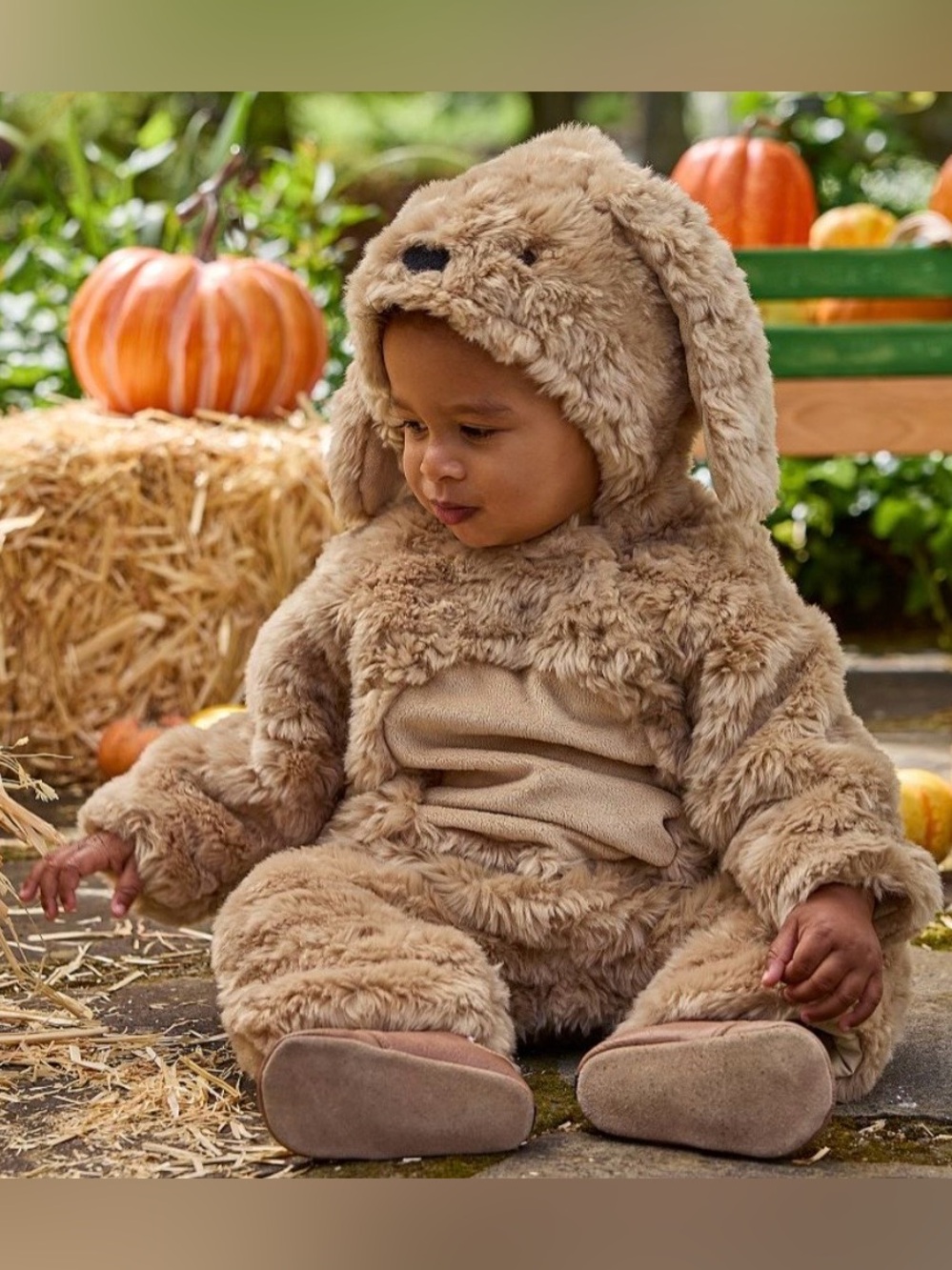 Pottery Barn Kids Baby Labradoodle Dog Halloween Costume 6-12 Months